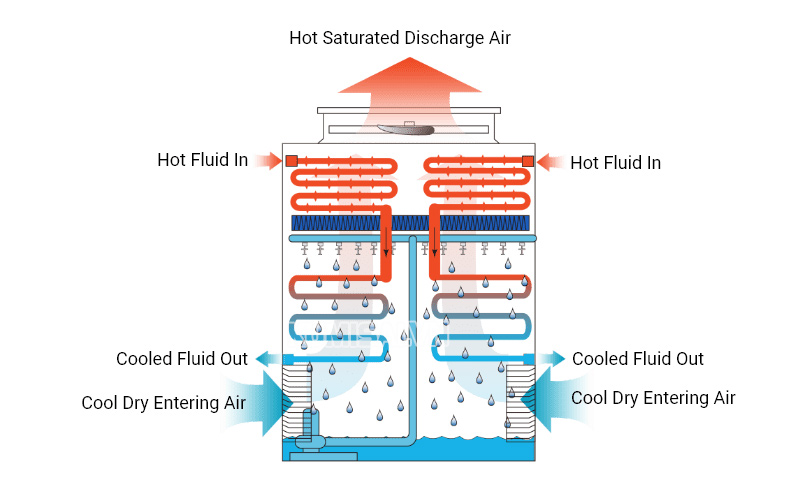 Best Cooling Practices